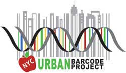 NYC Urban Barcode Project